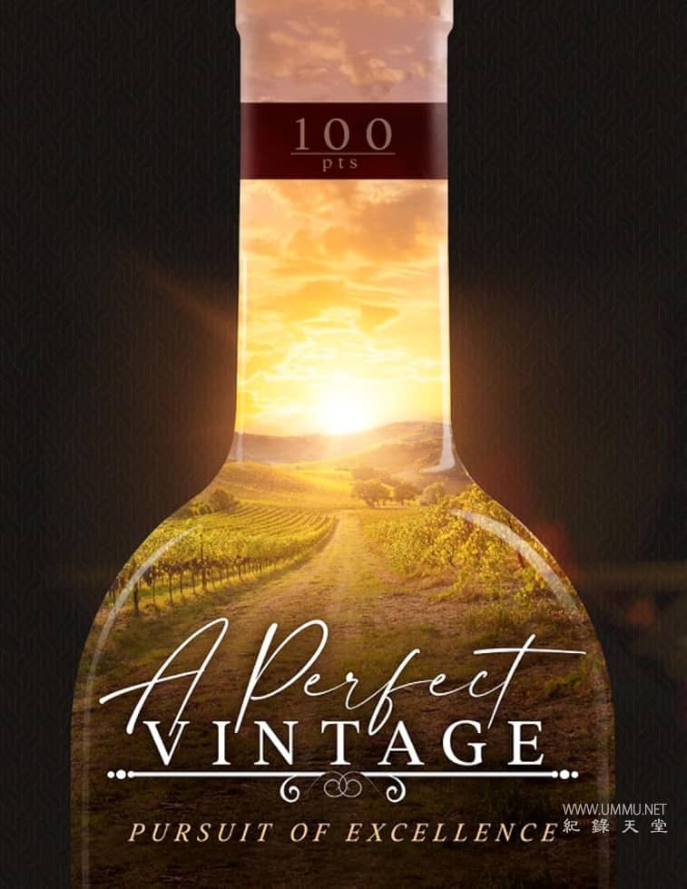完美的年份  / A Perfect Vintage