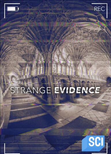 怪异证据  / Strange Evidence