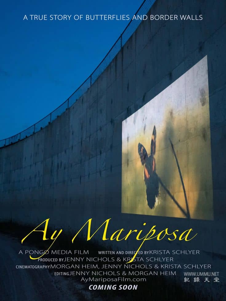 艾·马里波萨  / Ay Mariposa