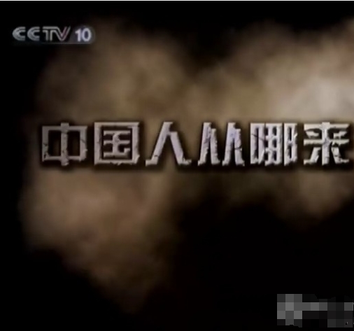 中国人从哪里来 2011 