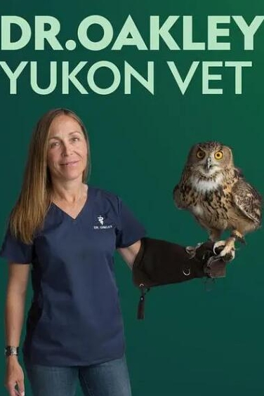动物侠医/育空兽医  第1季  / Dr. Oakley, Yukon Vet
