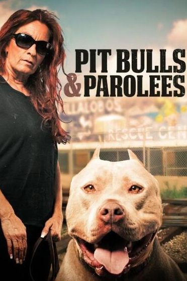 狗儿救援迎新生  第11季  / Pit Bulls and Parolees
