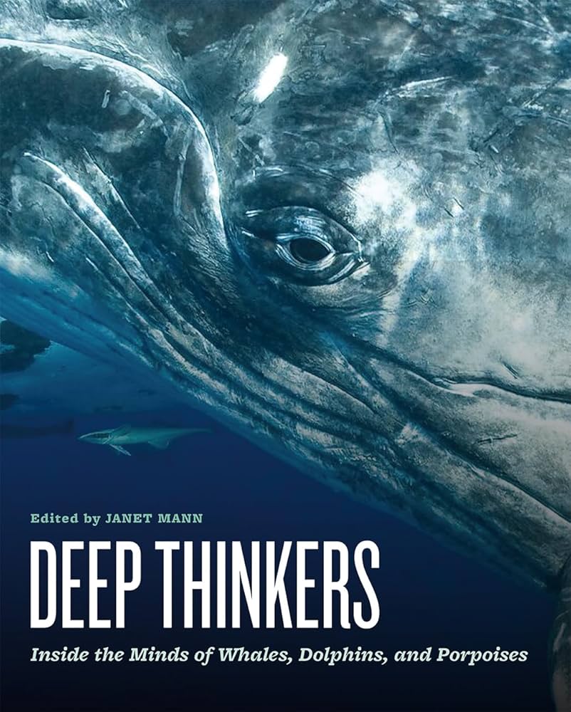 聪明的海豚  / Dolphins-Deep Thinkers