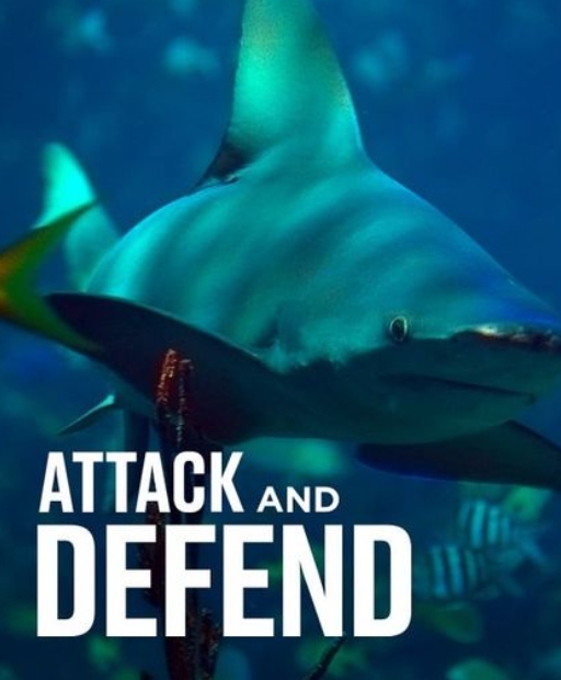 袭击和抵御  / Attack and Defend