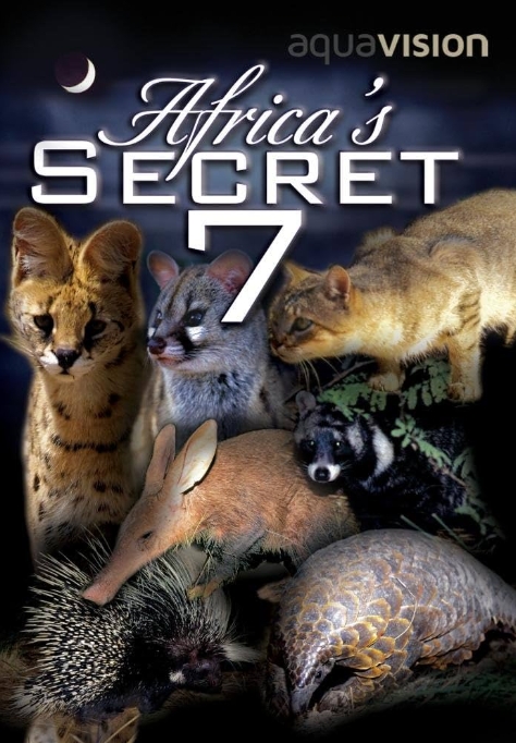 非洲七霸/非洲七神兽/非洲七种神秘客  / Africas Secret Seven