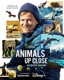 贝尔蒂·格雷戈里：与动物零距离  / Animals Up Close with Bertie Gregory