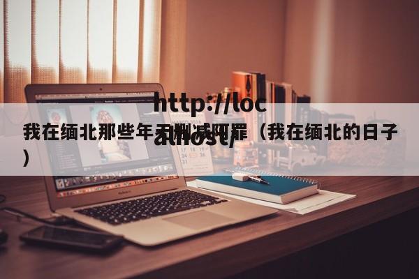 我在缅北那些年无删减阿罪(我在缅北的日子)